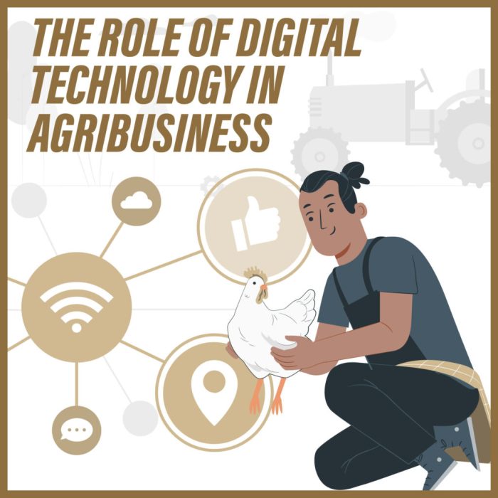 Agribusiness supply chain management