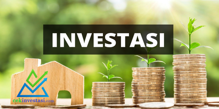 Pilihan investasi terbaik untuk pemula di tahun 2023