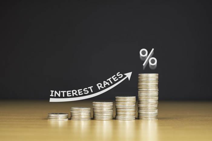 Investasi properti aman saat suku bunga naik: tips dan strategi