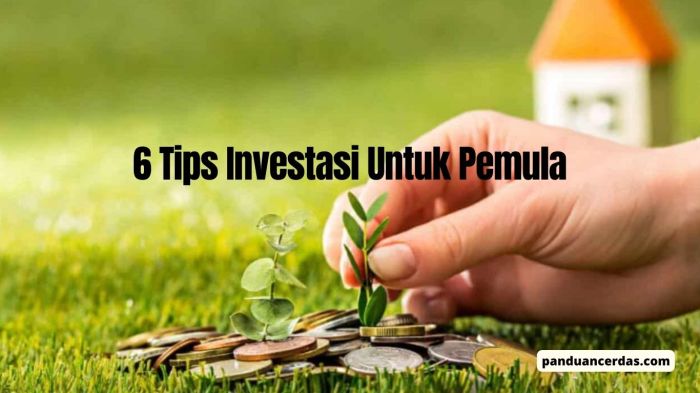 Investasi paling pemula menguntungkan aman macam depan masa