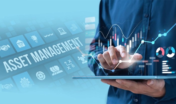 Asset management technology leveraging