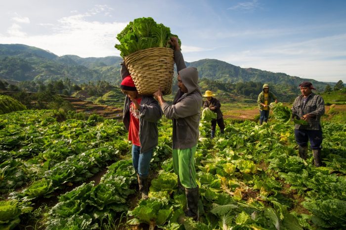 Agribusiness