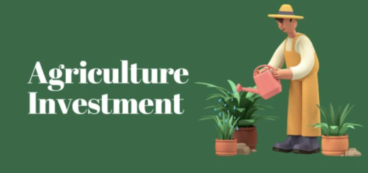 Investasi di sektor agribisnis untuk menjamin pasokan pangan nasional