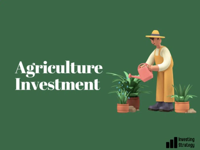 Investasi di sektor agribisnis untuk menjamin pasokan pangan nasional