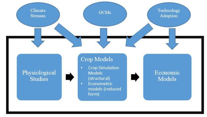 Perbandingan model agribisnis yang efektif untuk ketahanan pangan