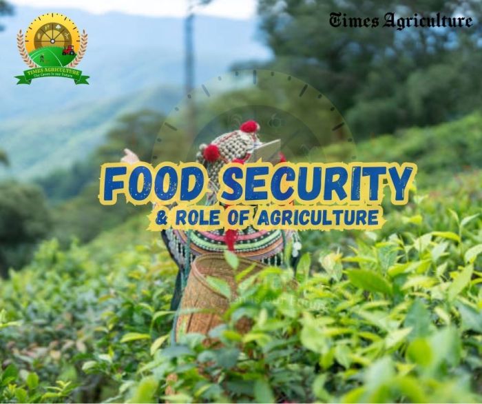 Peran pemerintah dalam mendukung pengembangan agribisnis dan ketahanan pangan
