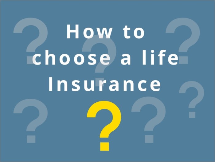 Insurance needs quick look life fisher