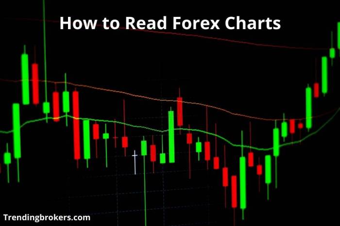 Bagaimana cara membaca grafik forex untuk pemula dengan mudah dan cepat