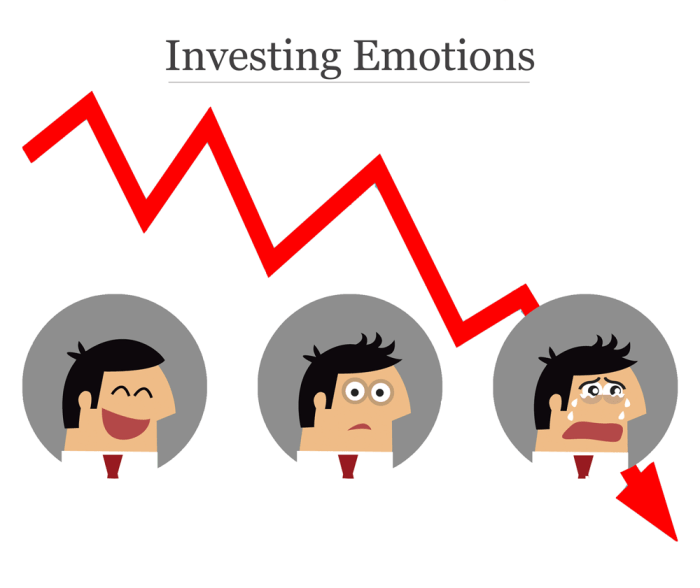 Mengelola Emosi dalam Investasi Saham