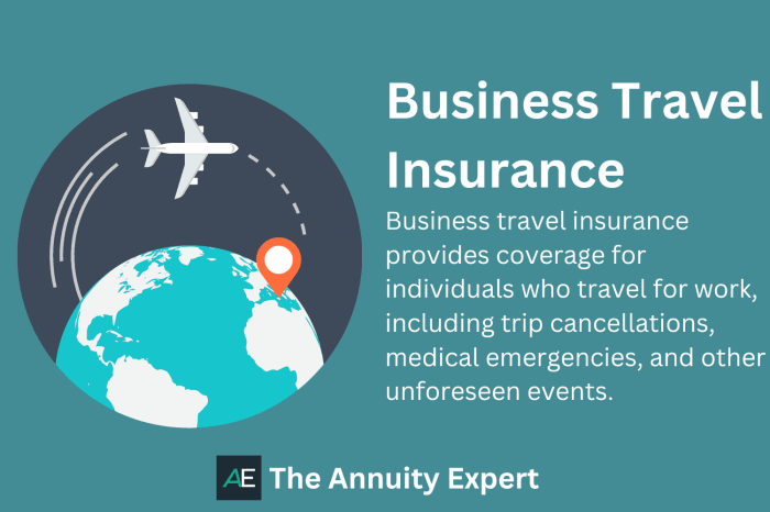 Business travel insurance congress bookers destinations world