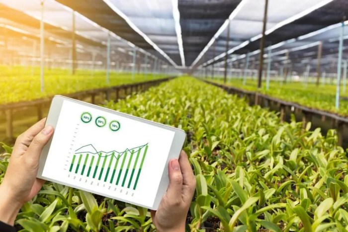Inovasi agribisnis untuk meningkatkan kualitas dan kuantitas produksi pangan