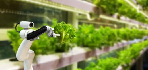 Inovasi agribisnis untuk meningkatkan kualitas dan kuantitas produksi pangan