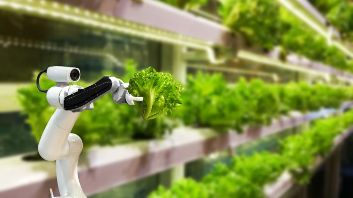 Inovasi agribisnis untuk meningkatkan kualitas dan kuantitas produksi pangan