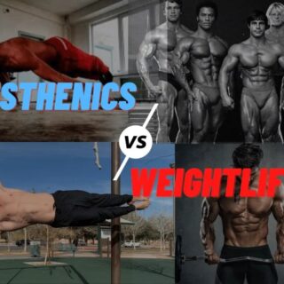 Calisthenics bodyweight weights