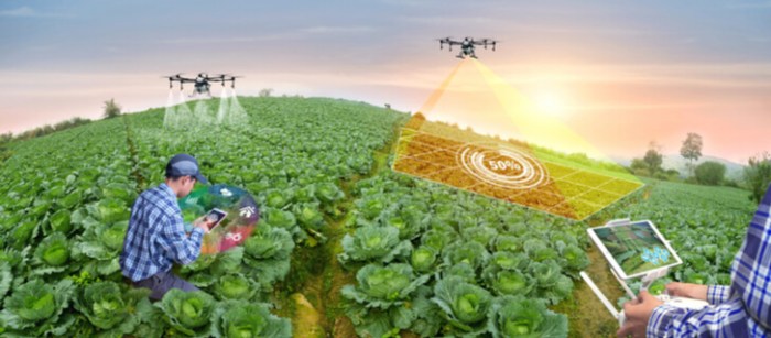 Peran teknologi dalam agribisnis untuk pasokan pangan