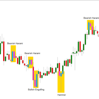 Forex beginners moved higher lower