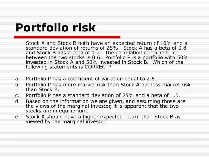 Risk portfolio return presentation stock deviation standard