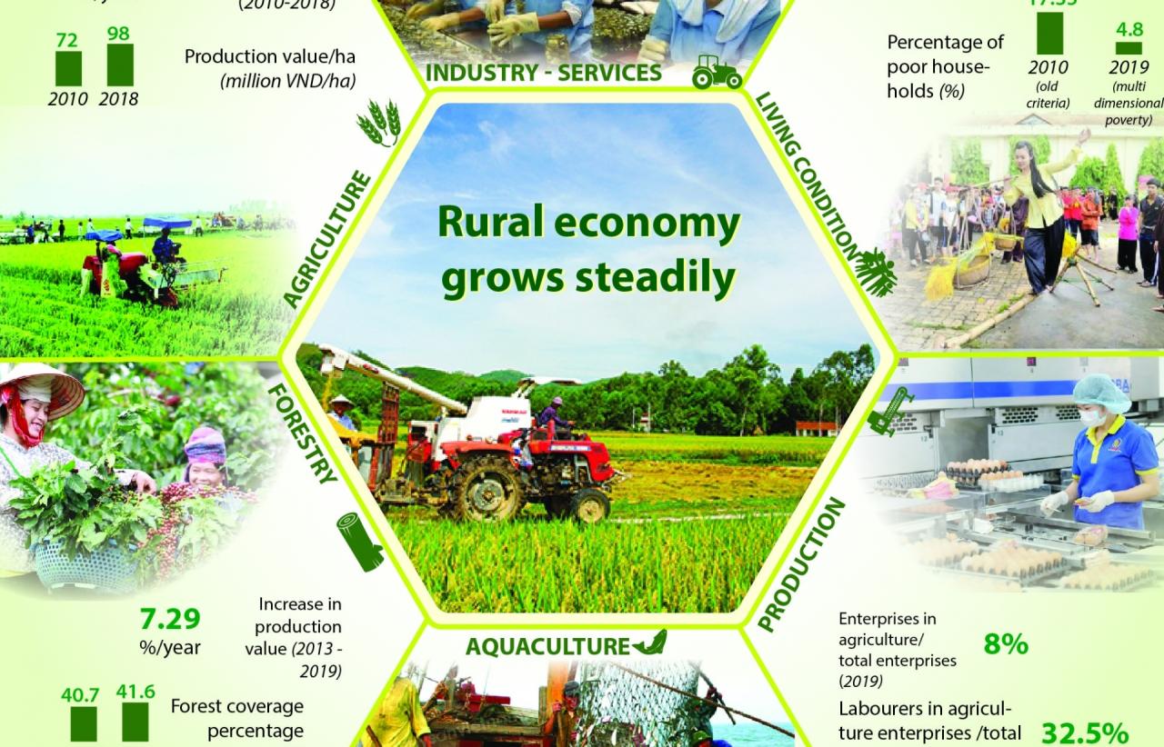 Dampak pengembangan agribisnis terhadap ekonomi pedesaan dan ketahanan pangan