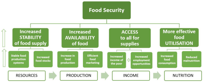 Perbandingan model agribisnis yang efektif untuk ketahanan pangan