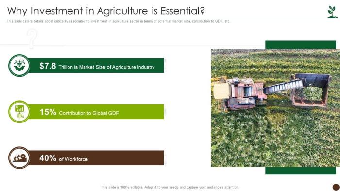 Investasi di sektor agribisnis untuk menjamin pasokan pangan nasional