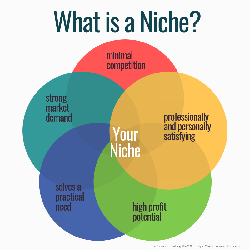 Business niche online guide