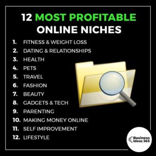 Niche profitable