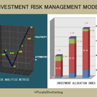 Manajemen risiko investasi saham IHSG bagi investor awam