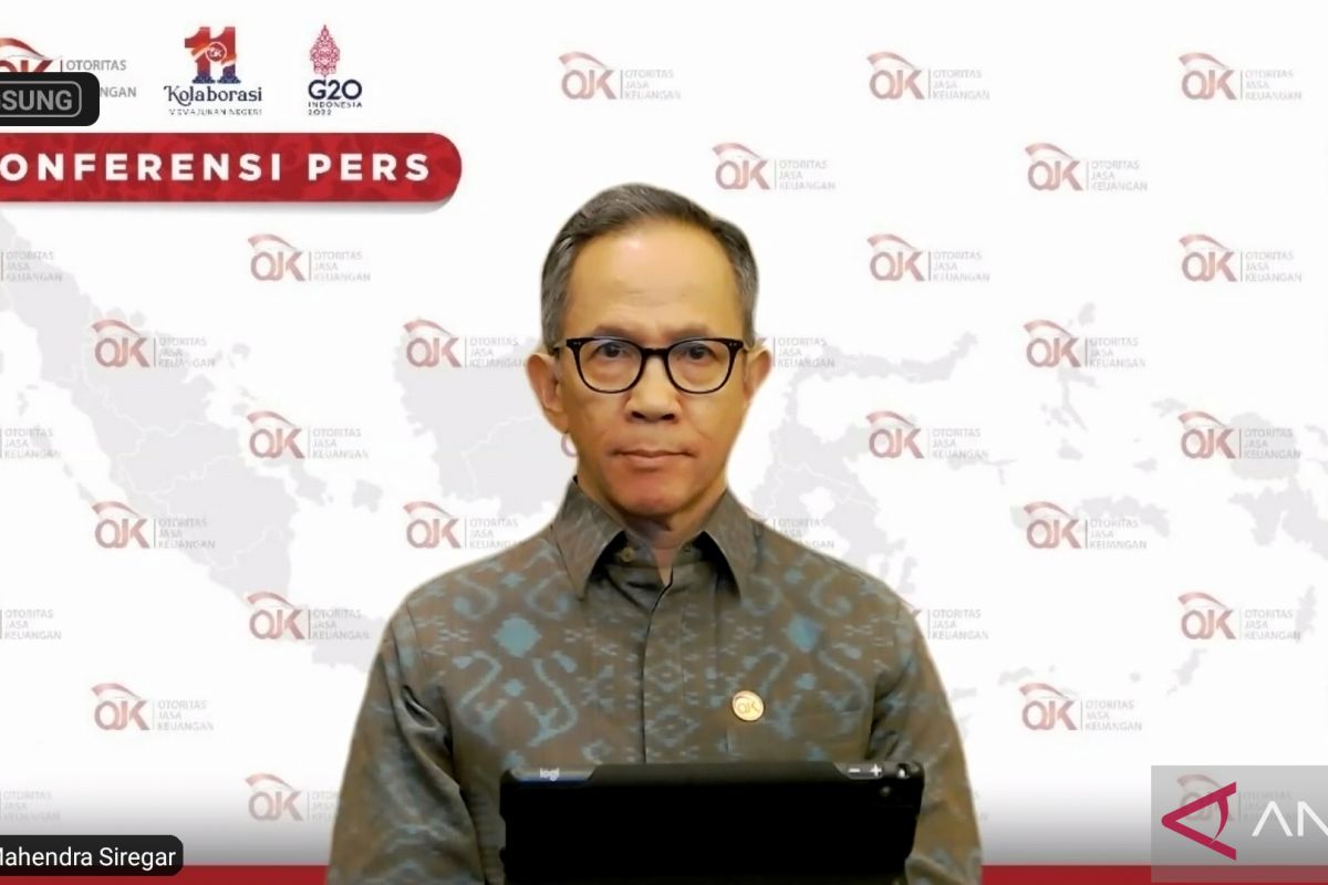 Peran Bank Indonesia dan OJK dalam stabilitas sistem keuangan