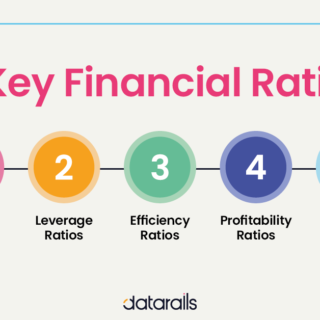 Financial analysis example ratio examples corporate business pdf