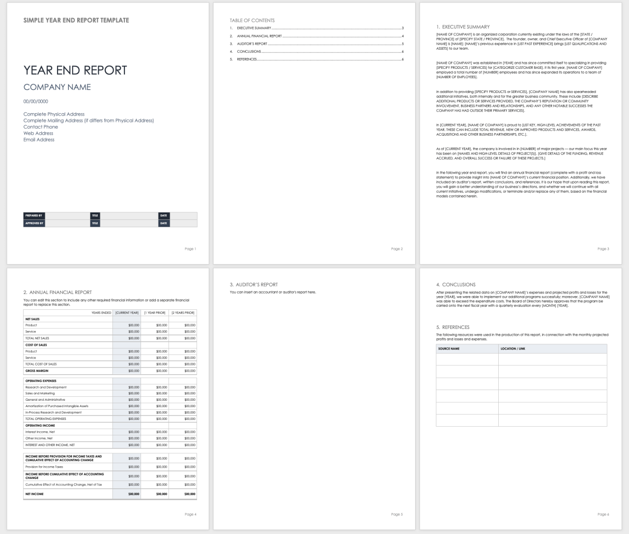 Financial report annual template templates sample format word business details