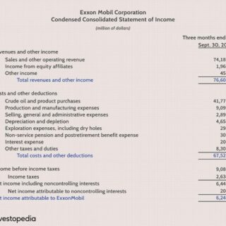 Financial statements audited overview report annual extracts statement accounting table funds sector share