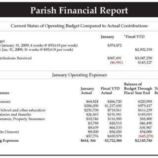 Financial report annual sample examples pdf business word edu pages