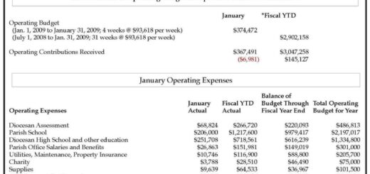 Financial report annual sample examples pdf business word edu pages