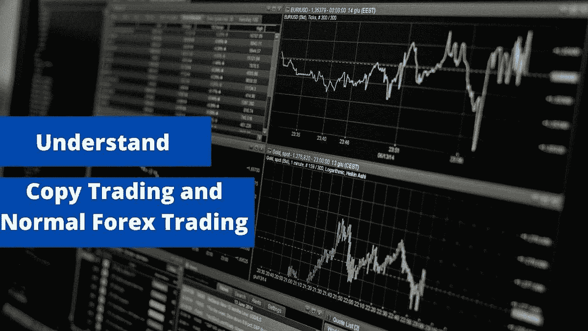 Copy trade forex itu apa dan bagaimana cara kerjanya?