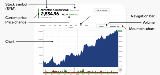 Investor