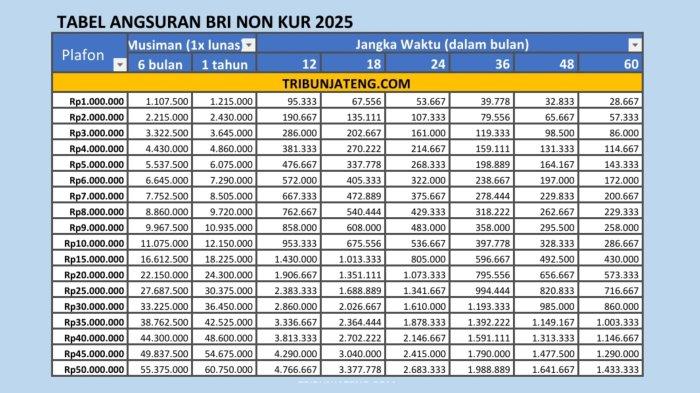 Pinjaman kur bri 2025 syarat dan ketentuan