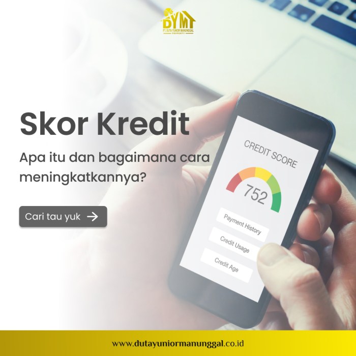 Bagaimana cara mengecek skor kredit pribadi di Indonesia
