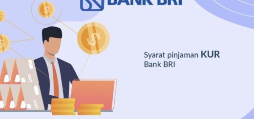 Review dan bandingkan pinjaman KUR BRI dengan pinjaman lain