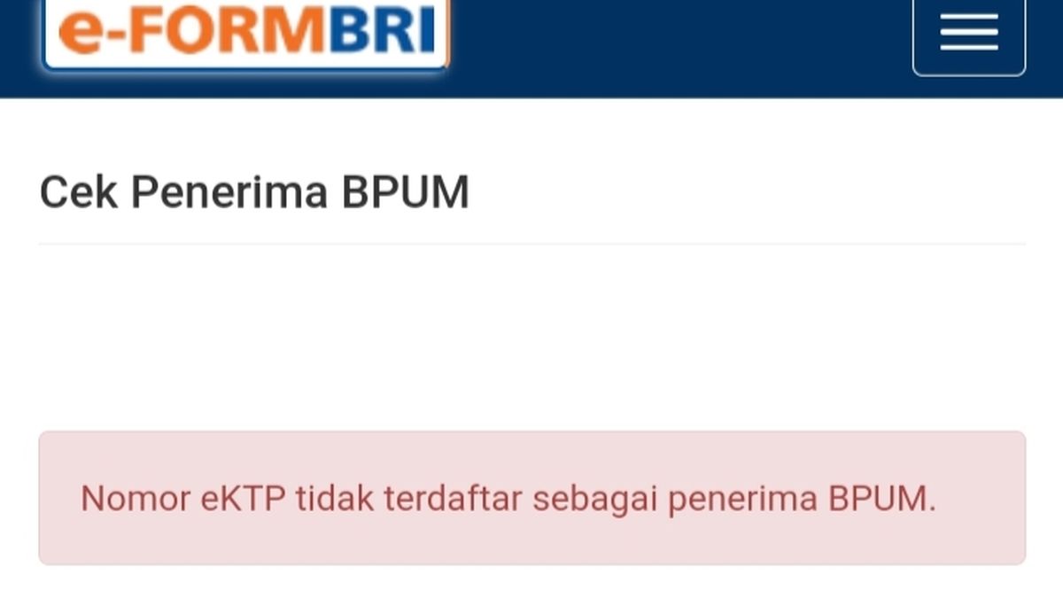 Panduan akses eform bni.co.id/bpum untuk pinjaman UMKM 2024