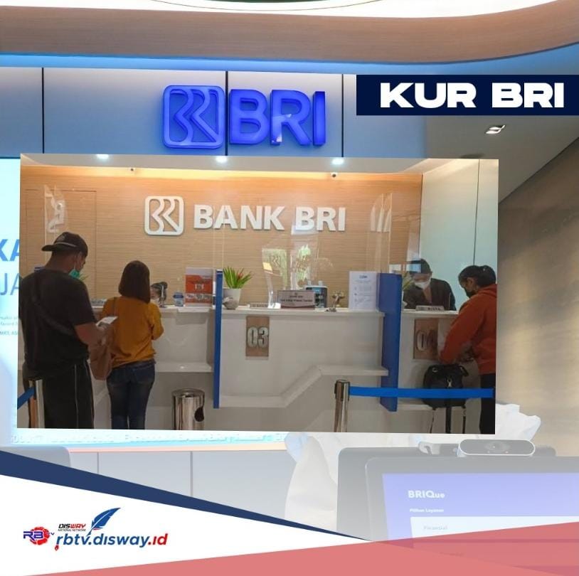 Syarat KUR BRI 2024 Cair Rp 100 Juta, Segera Siapkan Berkasnya ... Cara cek status pengajuan KUR BRI 2023 dan 2024 secara online terpercaya