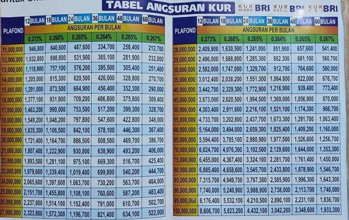 Daftar lengkap dokumen persyaratan pinjaman KUR BRI 2023