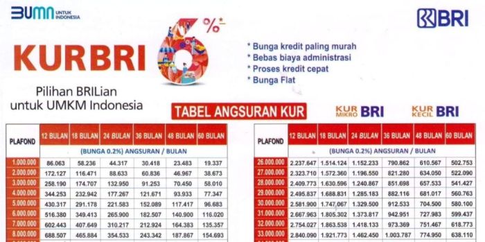 Jadwal angsuran KUR BRI 2022 untuk UMKM dengan plafon tertentu