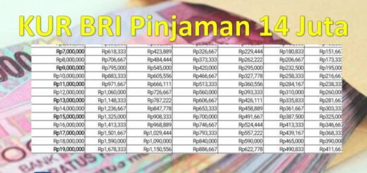 Bunga pinjaman KUR BRI untuk usaha kecil menengah