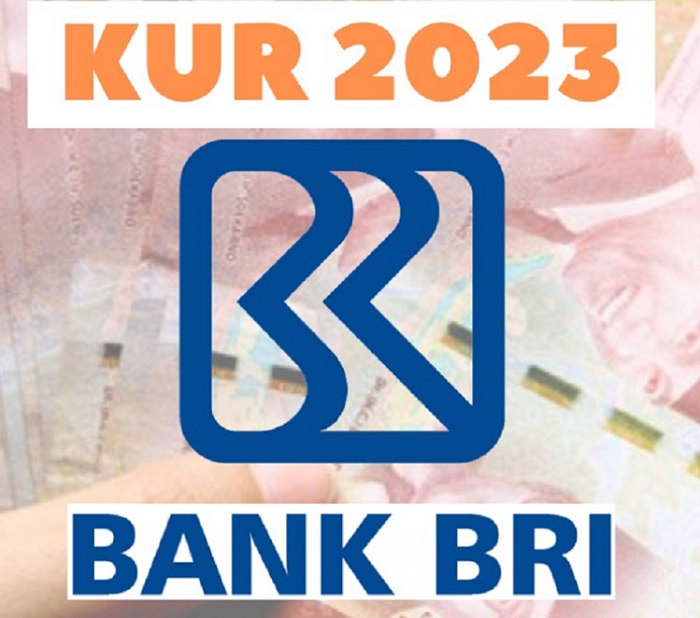 Perbedaan simulasi KUR BRI dengan KUR lainnya