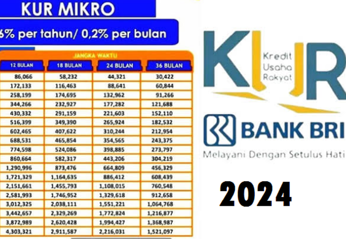 Pinjaman uang tanpa jaminan cepat dan mudah di bri
