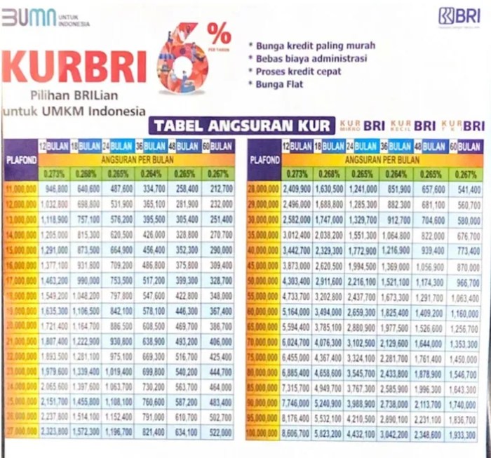 Jadwal angsuran KUR BRI 2022 untuk UMKM dengan plafon tertentu