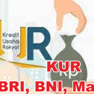 Syarat pengajuan kur bri 2025 untuk usaha kecil