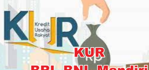 Syarat pengajuan kur bri 2025 untuk usaha kecil