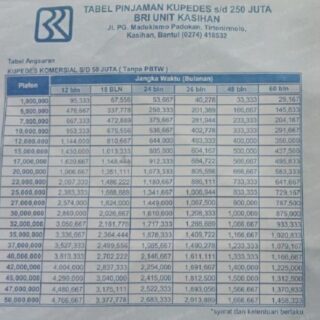 Daftar syarat dan ketentuan pinjaman KUR BRI 2023 untuk karyawan swasta