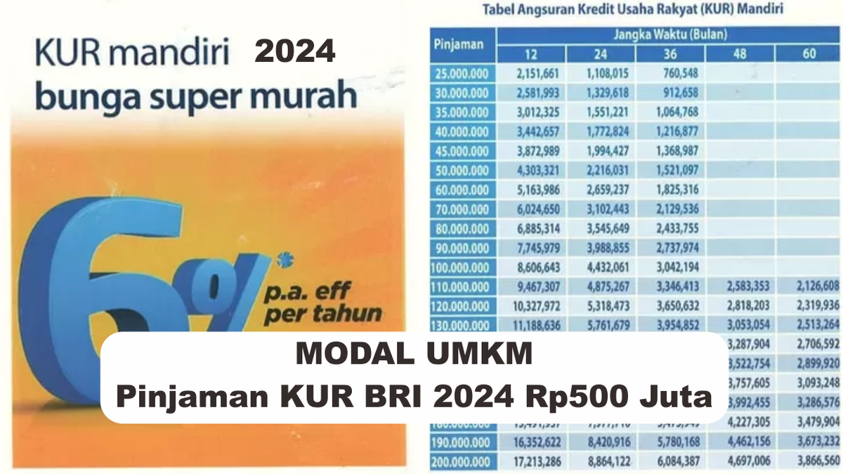 Syarat dan kriteria penerima KUR BRI 2024 dan cara cek online mudah